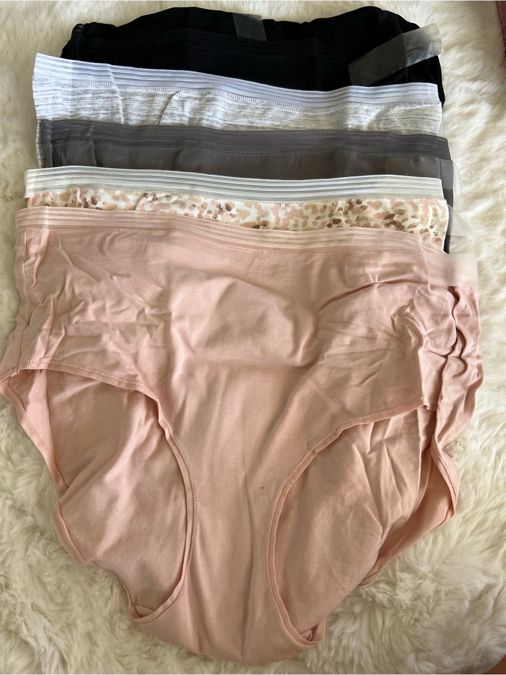 Carole Hochman Seamless Brief 5 Pack #51